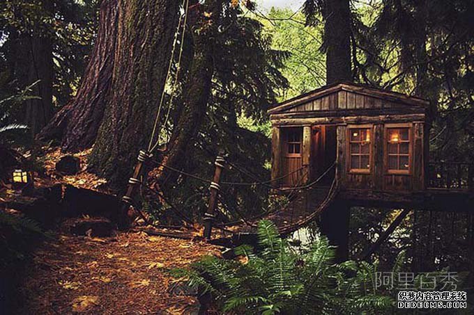 细数森林中的树屋，让你近距离享受自然--阿里百秀