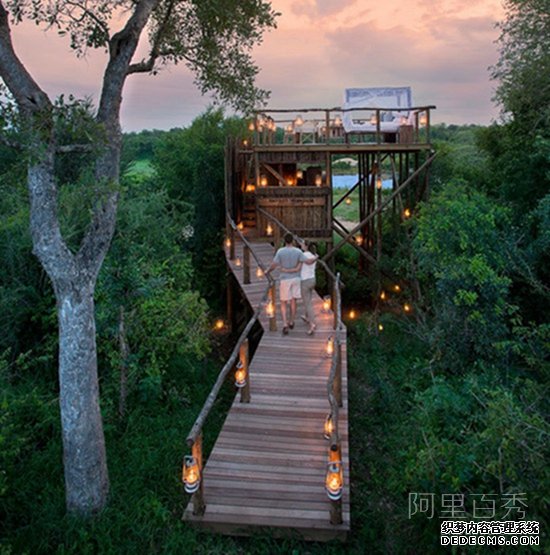 丛林里的抬头见星光的树屋酒店 可以与动物为邻--阿里百秀
