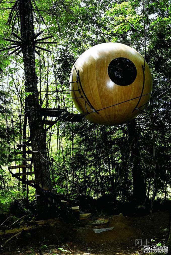 细数森林中的树屋，让你近距离享受自然--阿里百秀