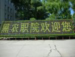 黑龙江农业职业技术学院校徽